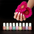 Lacke für Nageldesign