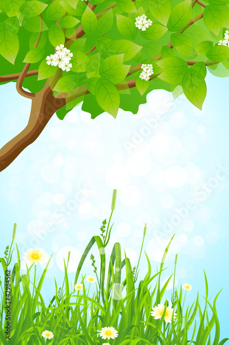 Vector: Green Grass and Tree Branch Green Grass and Tree Branch