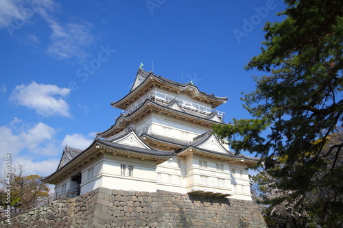 Photo: Odawara Castle Odawara Castle