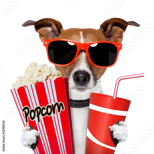 Photo: dog watching a movie dog watching a movie