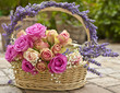 Rosen, Lavendel