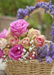 Rosen, Lavendel