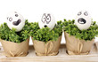 White eggs with funny faces on green bushes
