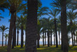 Andalucia coast