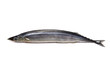 Pike