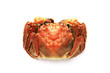 Crab