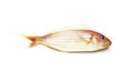Raw fish