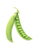Green pea