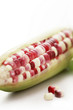 Maize