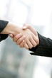 Business people shaking hands