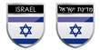 Israel flag emblem