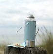 Vacuum flask and cookies on a tree stump