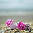 Baby shoes with pink flowers