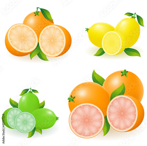 Vector: set of citrus orange lemon lime grapefruit vector illustration set of citrus orange lemon lime grapefruit vector illustration