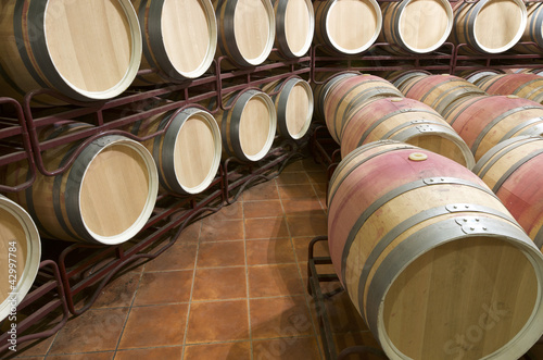 Photo: wine wine