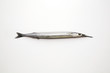 Anchovy