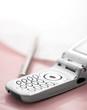 Mobile phone and pen