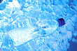 Bottled water with ice cubes