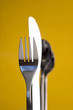 Photo: Cutlery Cutlery