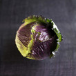 High angle close up of a cabbage