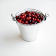 Red berries stored in an aluminium bucket