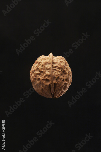 Photo: Walnut Walnut
