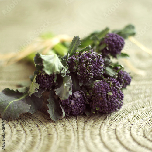 Photo: Purple long stem broccoli Purple long stem broccoli