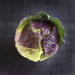 High angle close up of a cabbage