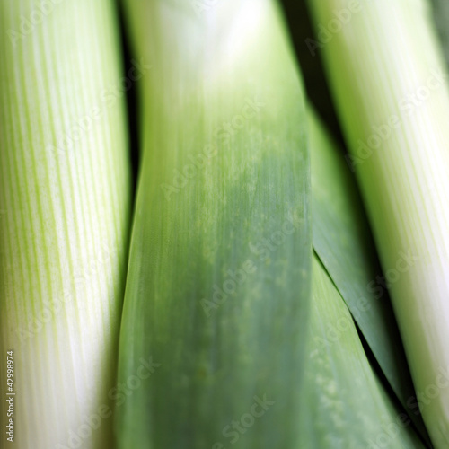Photo: High angle close up of leeks High angle close up of leeks