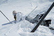 Woman fall down while skiing