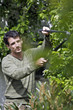 Man trimming plants with a hedge clippers
