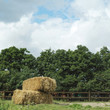 Haystacks on the farm