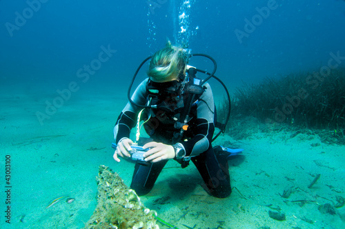Photo: Photographer Photographer