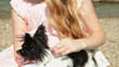 Little Girl with Chihuahua