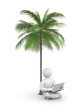 Person working or relax on laptop under a palm tree