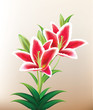 Vektor: Beautiful Red Lilly Beautiful Red Lilly