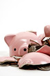 Piggy Bank