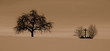 Kreuz und Baum