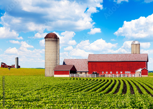 Photo: American Farm American Farm