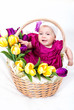 Portrait newborn baby in basket