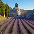 Foto: Abbaye de Sénanque #1 Abbaye de Sénanque #1