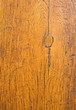 Holzplatte lackiert mit Ast
