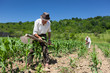 Photo: Family working the land Family working the land
