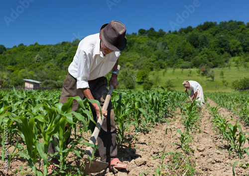 Photo: Family working the land Family working the land
