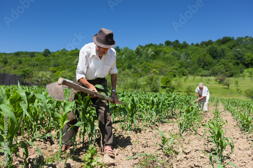 Photo: Family working the land Family working the land