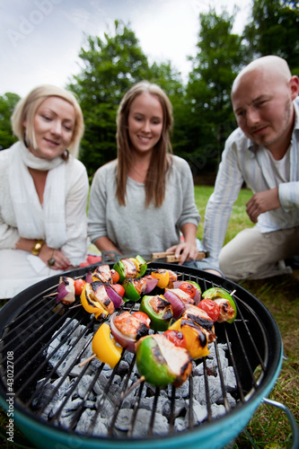 Foto: Friends Barbecue in Park Friends Barbecue in Park