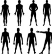Full length front, back silhouette of man