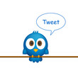 Blue bird sitting on rope, singing