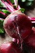 Beetroot