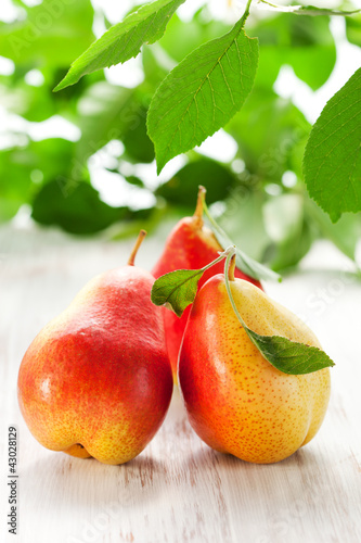 Photo: pears pears